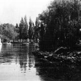 Краснодар. В парке Горького у пруда, около 1961 года