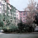 Краснодар. Двор дома по ул. Мира 44, вид на северо-восток, 1971 год