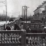 Краснодар. Новые дома на улице Сталина, 1951 год