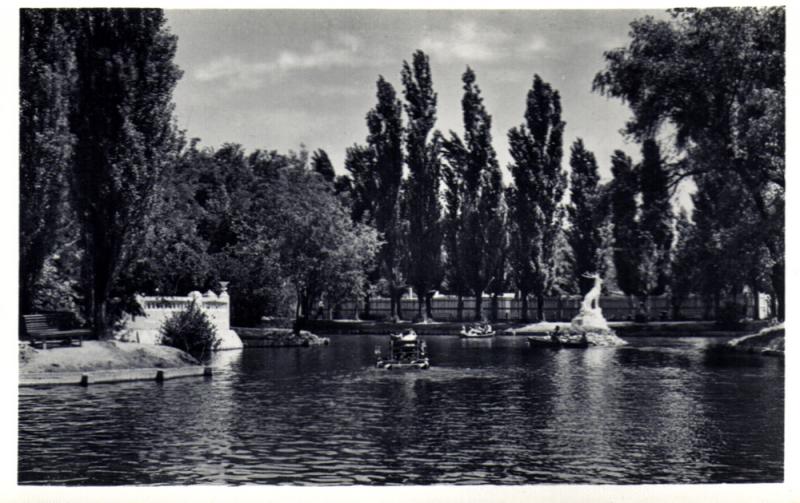 Краснодар. Парк культуры и отдыха. Пруд. Около 1961 года Краснодар. Парк культуры и отдыха. Пруд. Около 1961 года