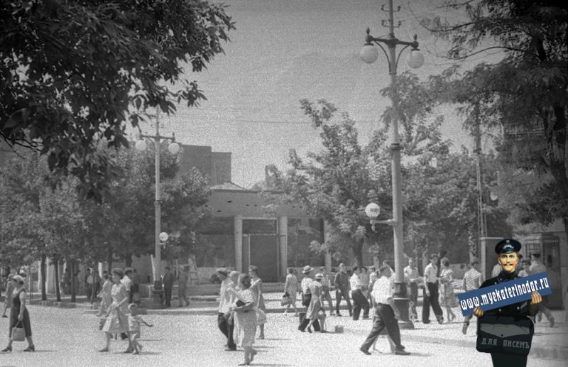 Краснодар. Отделочные работы в кафе "Светлячок", 1963 или 1964 год. Краснодар. Отделочные работы в кафе "Светлячок", 1963 или 1964 год.